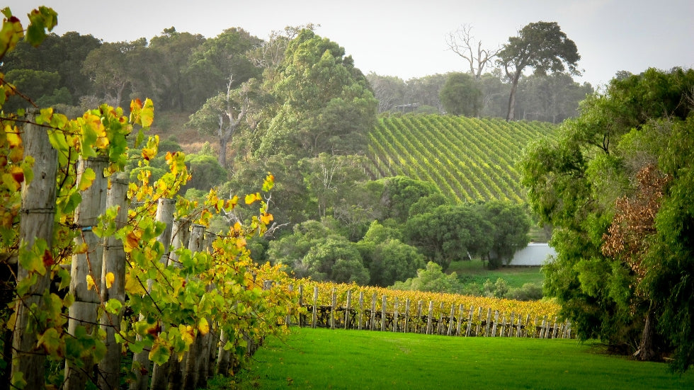 Luxury Estate Picnic At Brookland Valley & Houghton Wines