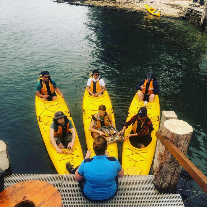 Oyster Tasting Kayak Tour - Batemans Bay