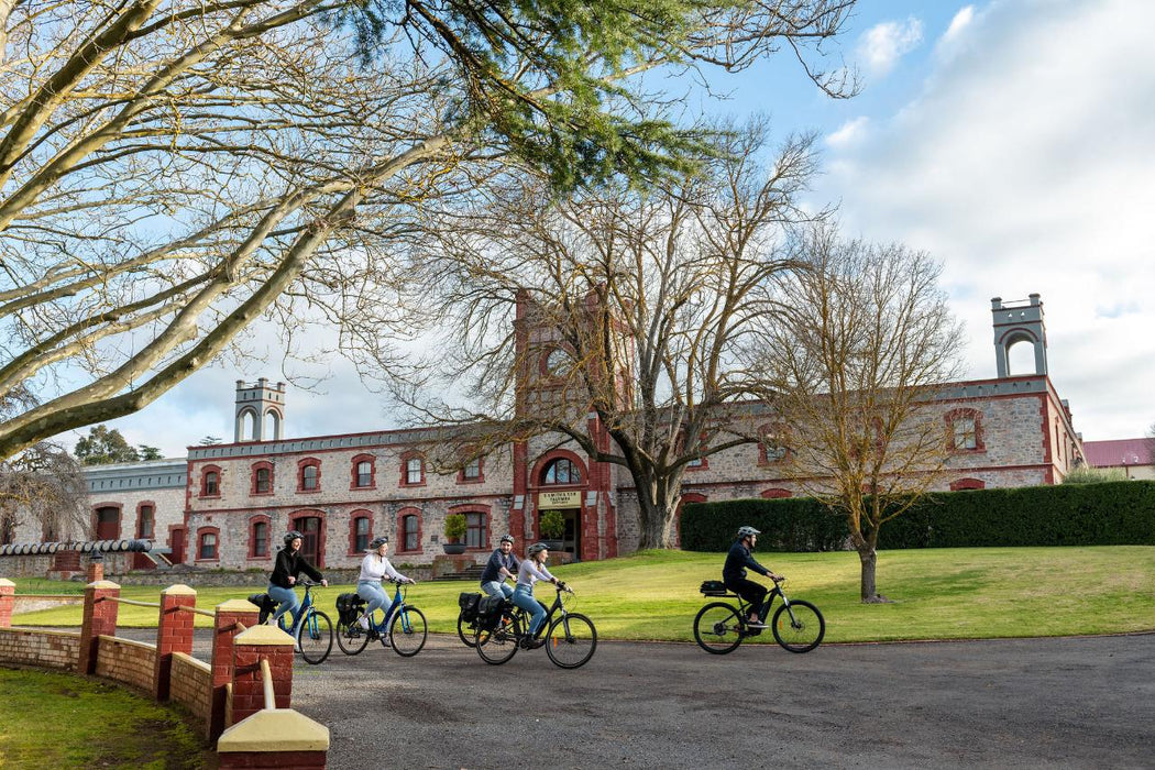 'Experience Barossa' Gourmet Food & Wine E-Bike Tour