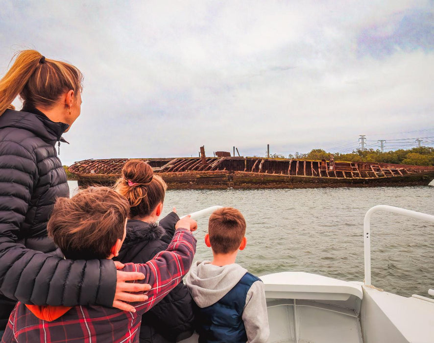 90 Minute Port River Dolphin & Ships Graveyard Cruise