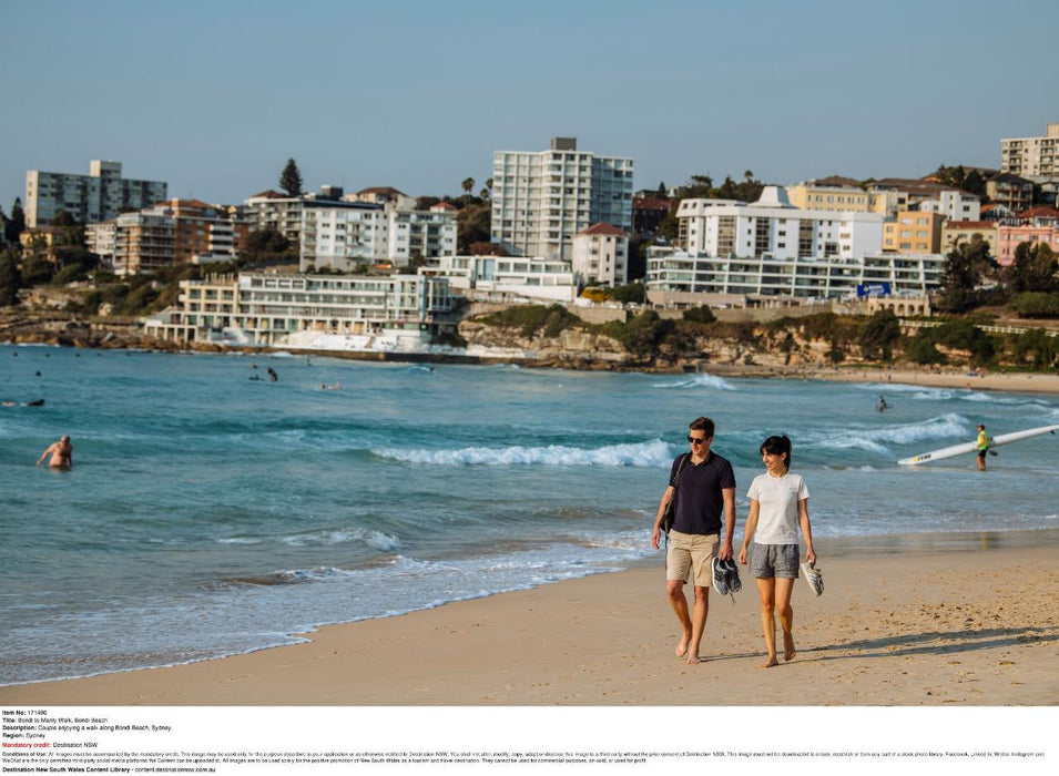 Sydney City Highlights Half Day Afternoon Private Charter Tour