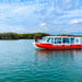 90 Minute Port River Dolphin & Ships Graveyard Cruise - We Wander