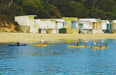 Kayak The Dolphin Sanctuary