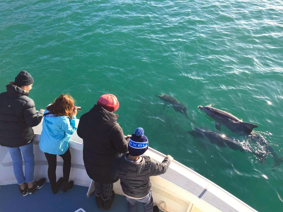 Kangaroo Island Ocean Safari - 75 Minute Safari