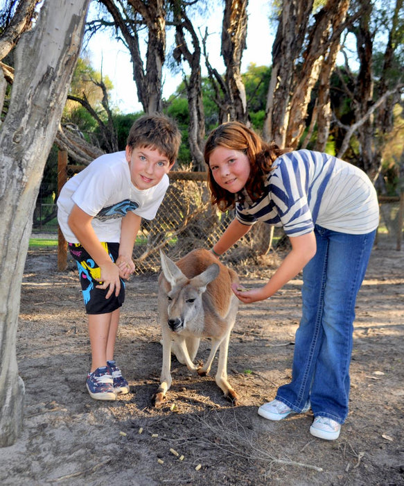 Caversham Wildlife Park, Mandoon Estate, And Swan Valley Private Full Day Tour