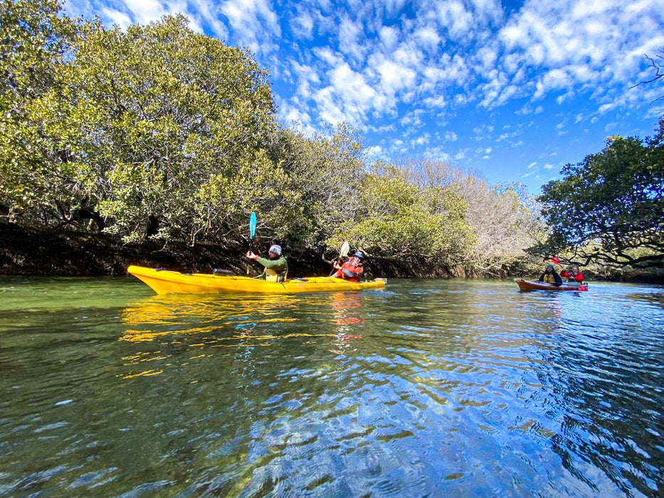 Dolphin Sanctuary & Ships Graveyard Kayak Tour