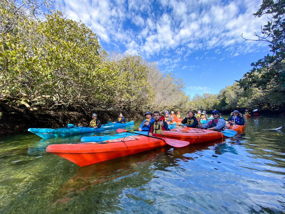 Dolphin Sanctuary & Ships Graveyard Kayak Tour