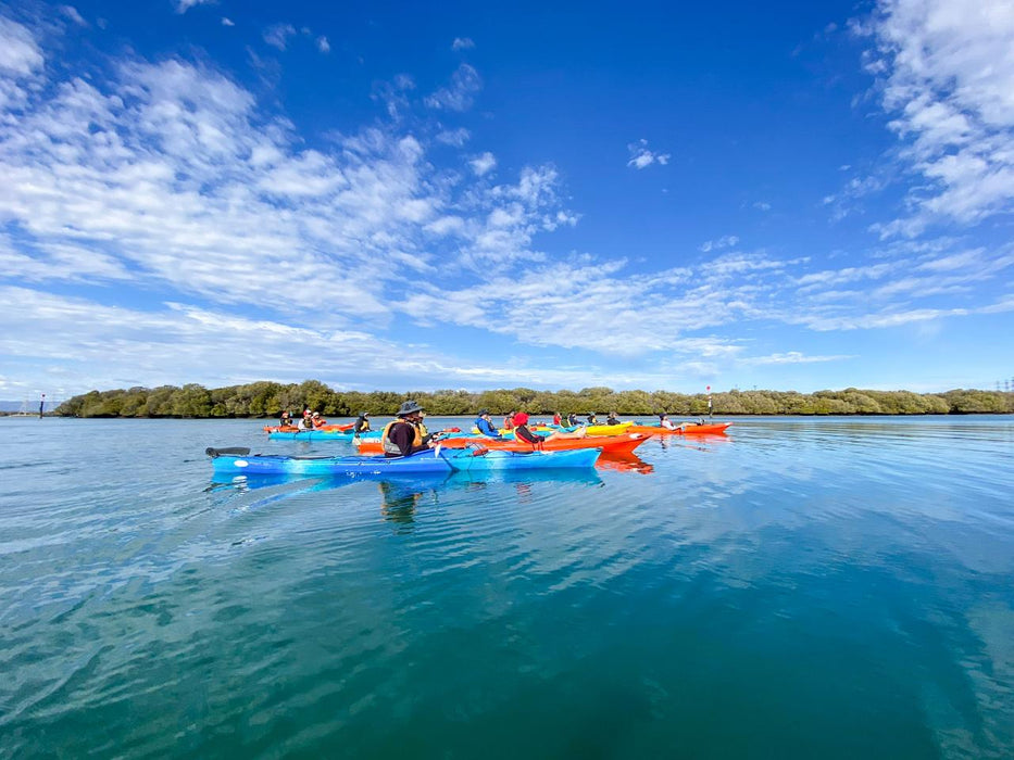 Dolphin Sanctuary Mangroves Tour