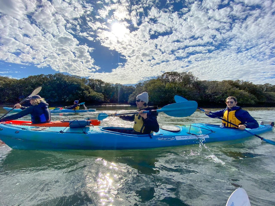 Dolphin Sanctuary & Ships Graveyard Kayak Tour