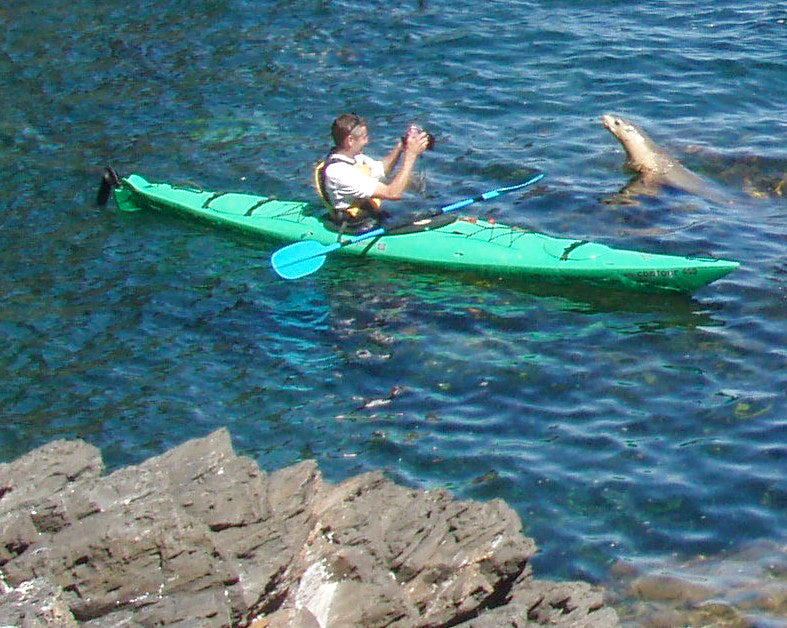 Rapid Bay Sea Kayaking Tour