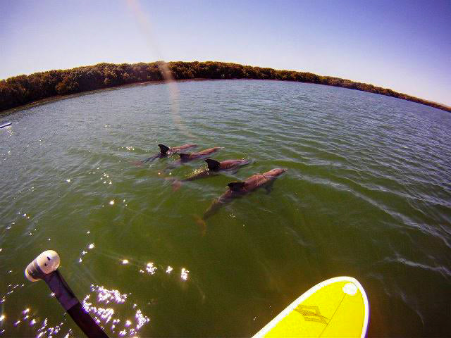 Stand Up Paddle Board Hire