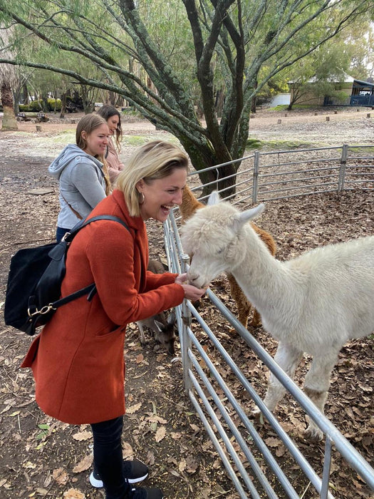 Full Day Wine & All About It Tour: Scones, Chocolate, Wineries, Lunch & More!