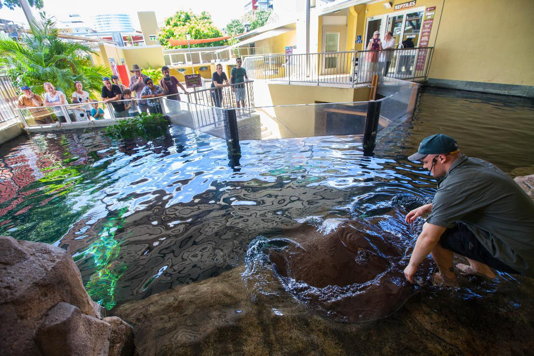 Crocosaurus Cove Entry