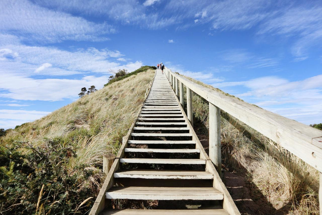 Bruny Island Day Tour