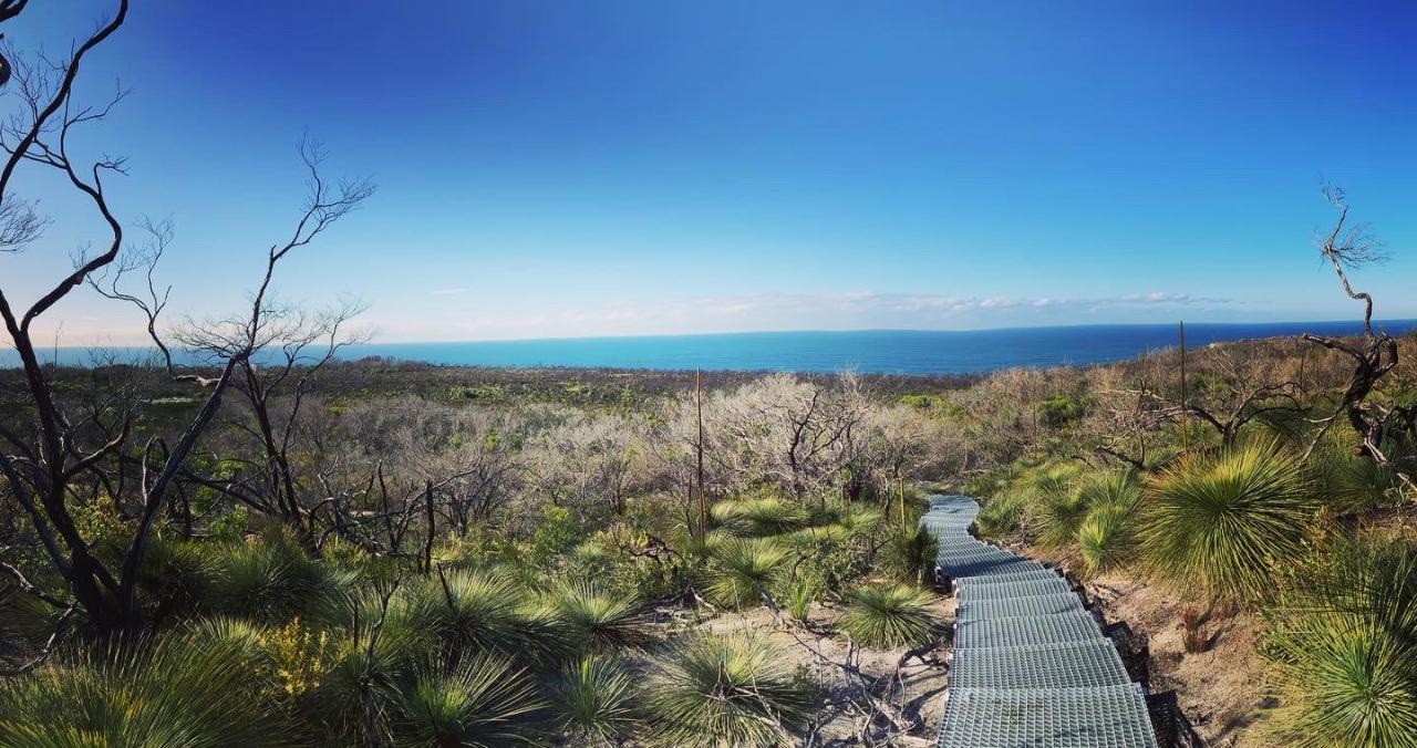 Nature, Culture And History Immersion In North Head Walk