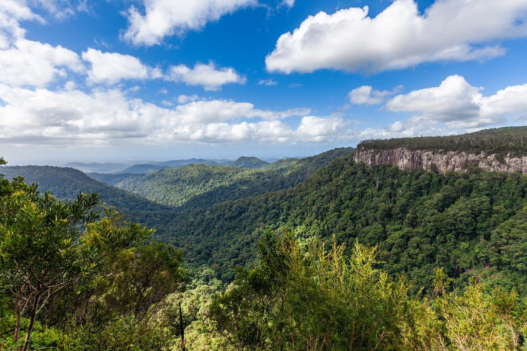 Natural Bridge & Springbrook Waterfalls Tour