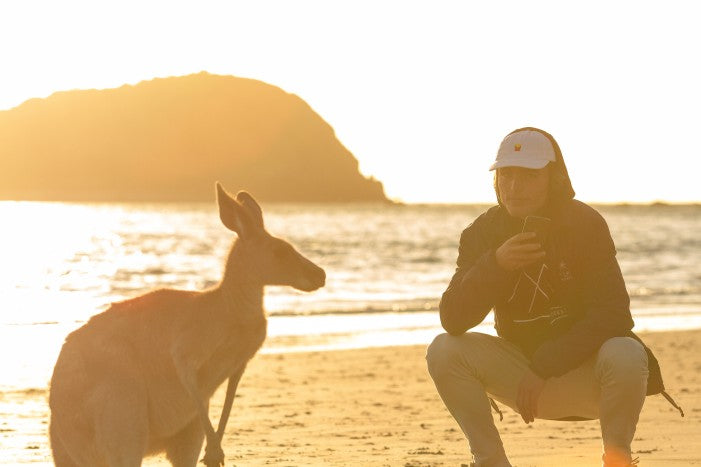 Beach Sunrise With The Wallabies