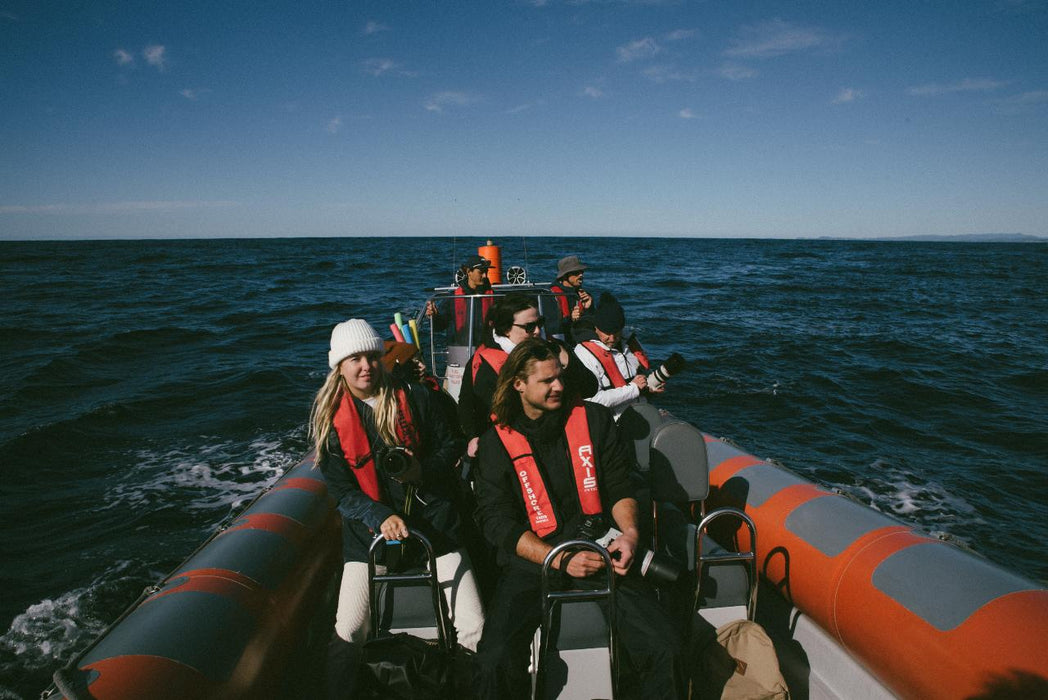 Safari-Style Whale Watching Gold Coast