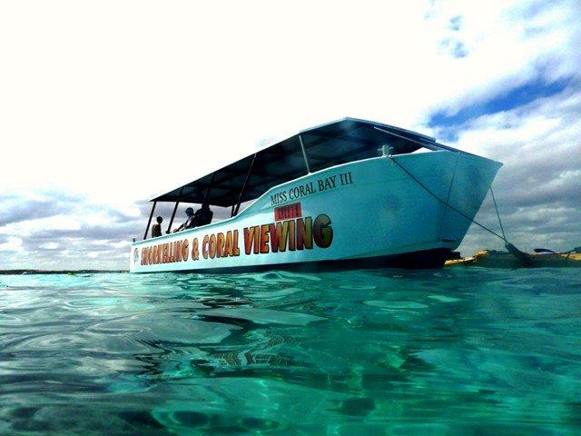 1 Hour Coral Viewing Cruise