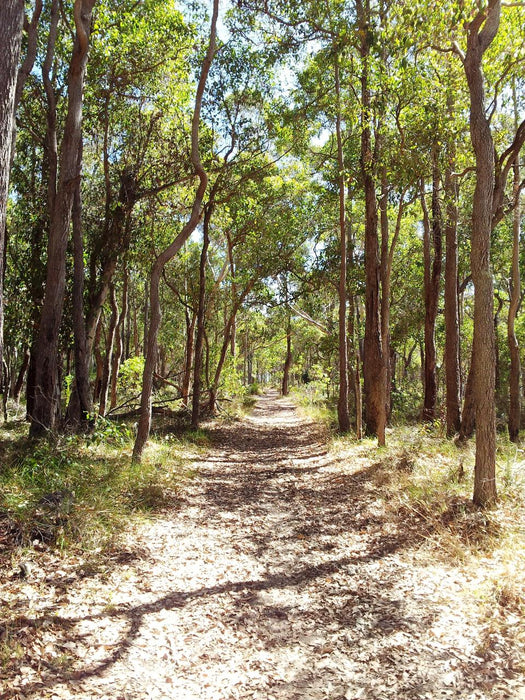 Country Lane Tour