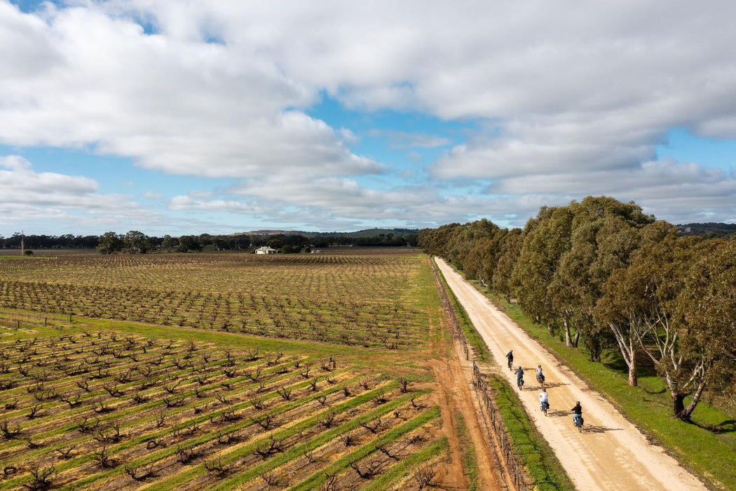 'Experience Barossa' Gourmet Food & Wine E-Bike Tour