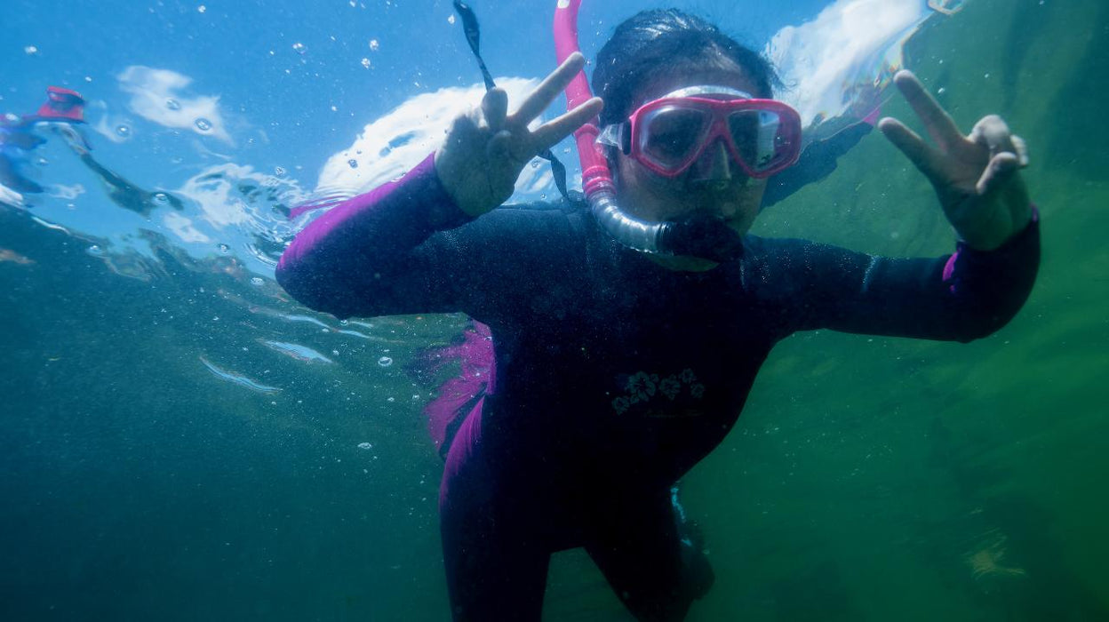 Reef Shark Snorkel With Entry Pass