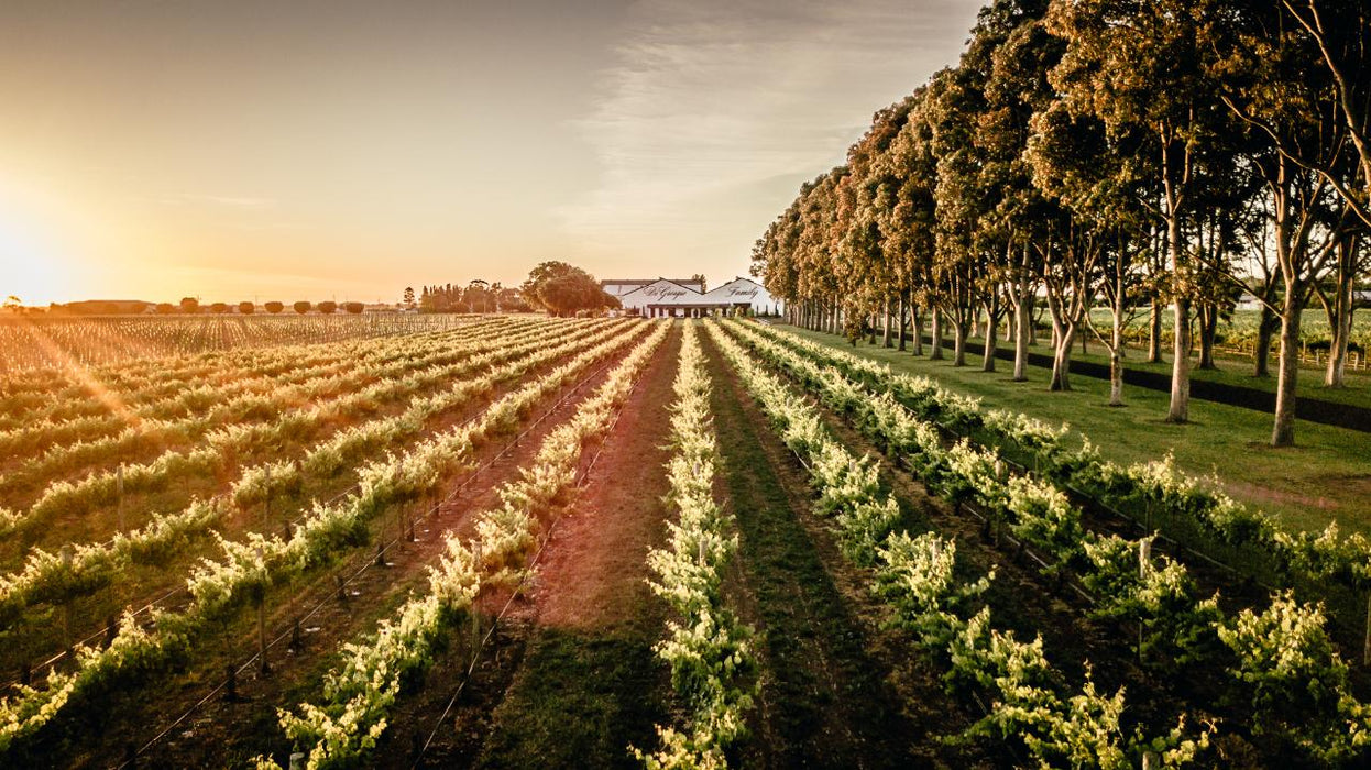 Wine Flight With Six Bites At Digiorgio Family Wines