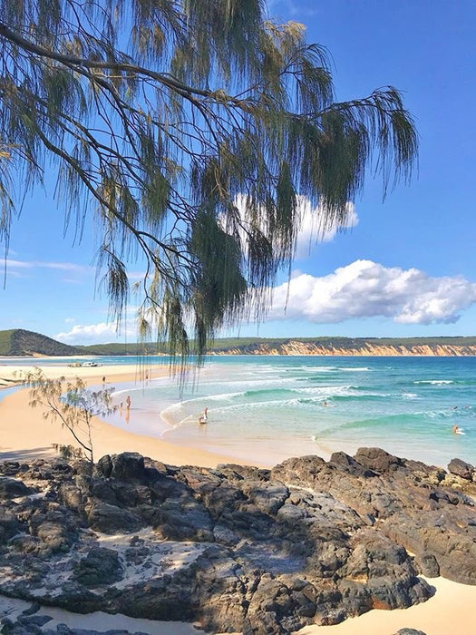 Learn To Surf Australia's Longest Wave + Great Beach Drive Adventure - Noosa Day Trip