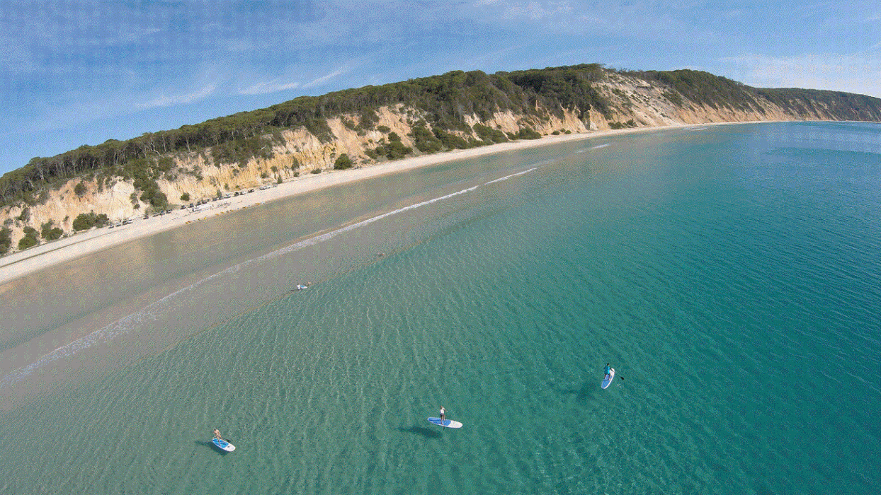 Stand Up Paddle Wildlife Tour & Beach 4X4 Day Trip- Noosa