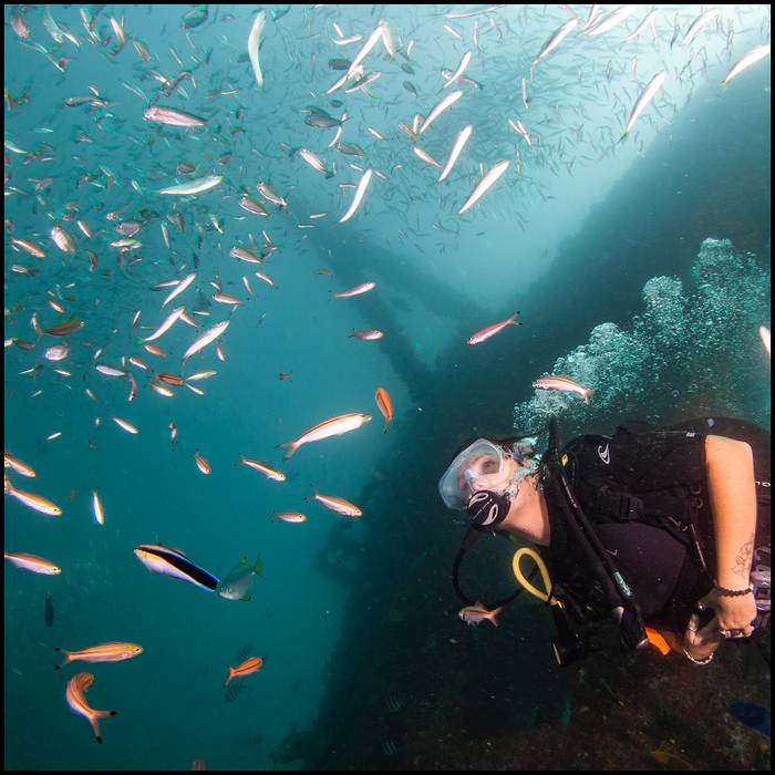 Ex-Hmas Brisbane Double Dive