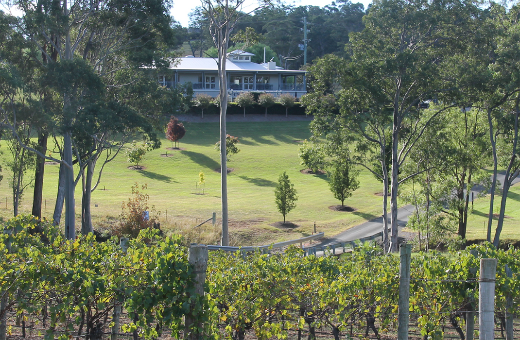 Tulloch Wines - Mystery Wine Tasting Experience With Local Cheese And Charcuterie