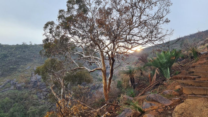 Waterfalls, Wildflowers & Wandoo Hiking Experience