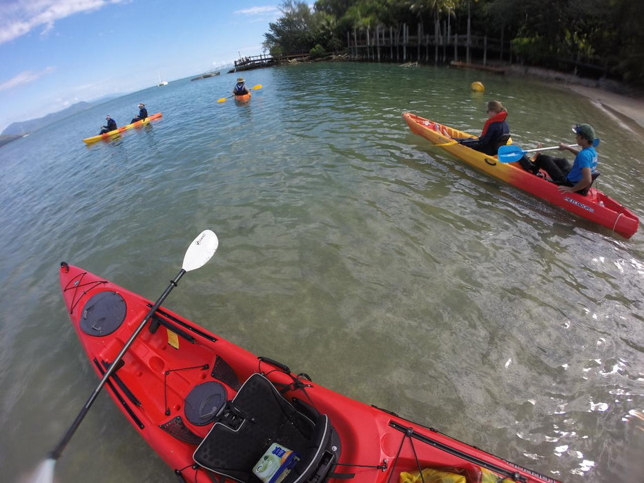 3-Hour Sunrise Kayak Turtle Tour