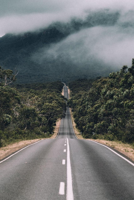 The Grampians Day Tour