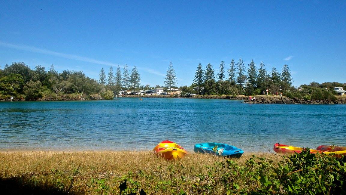 Brunswick River Nature Kayak Tour