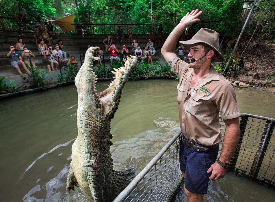 Hartley's Crocodile Adventures