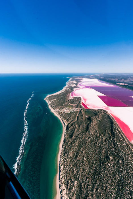 Pink Lake And Abrolhos Islands - Half Day Tour