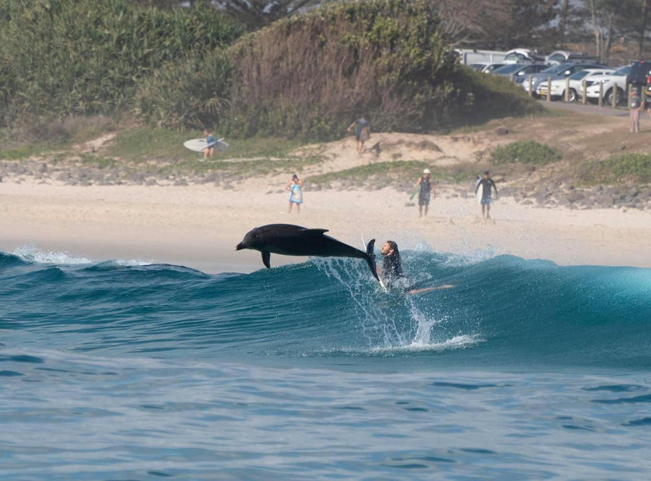 Dolphin Cruise