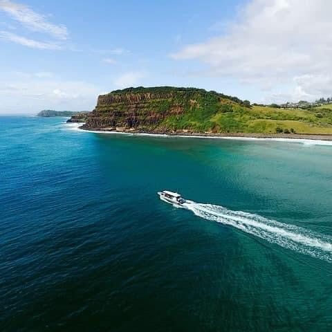 Dolphin Cruise