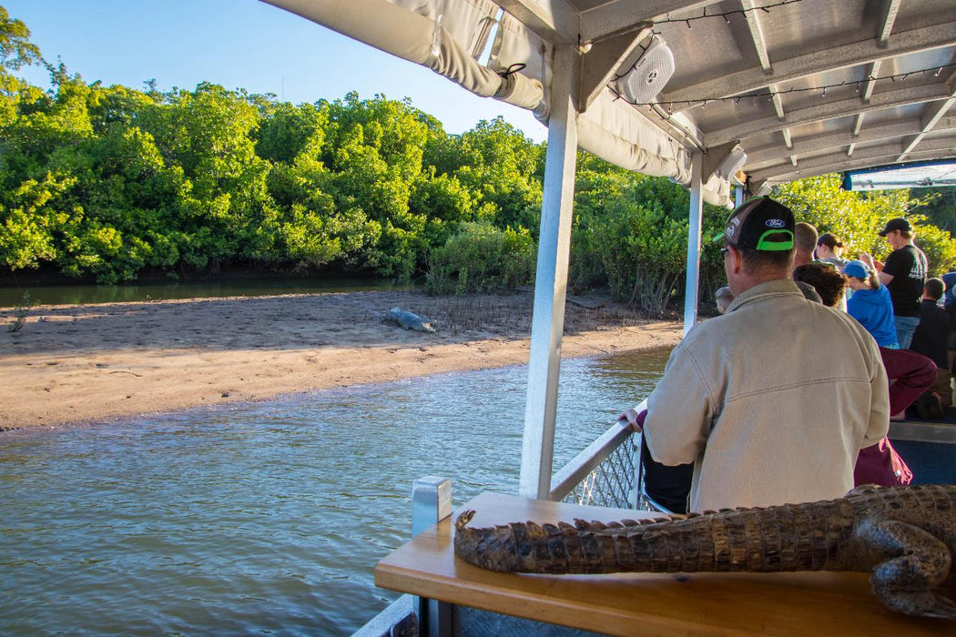 Johnstone River Croc & Wildlife Tour