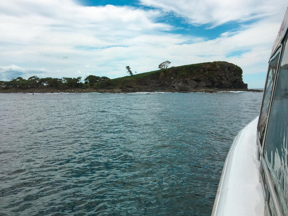 Snorkel With Turtles At Mudjimba Island