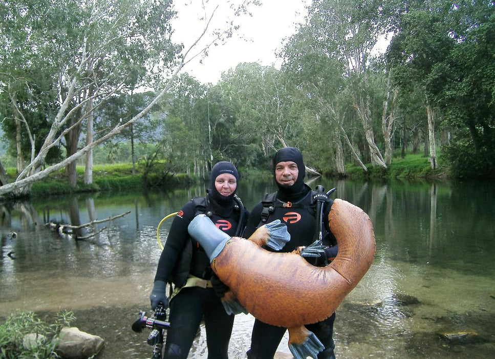 Rainforest Platypus Dive