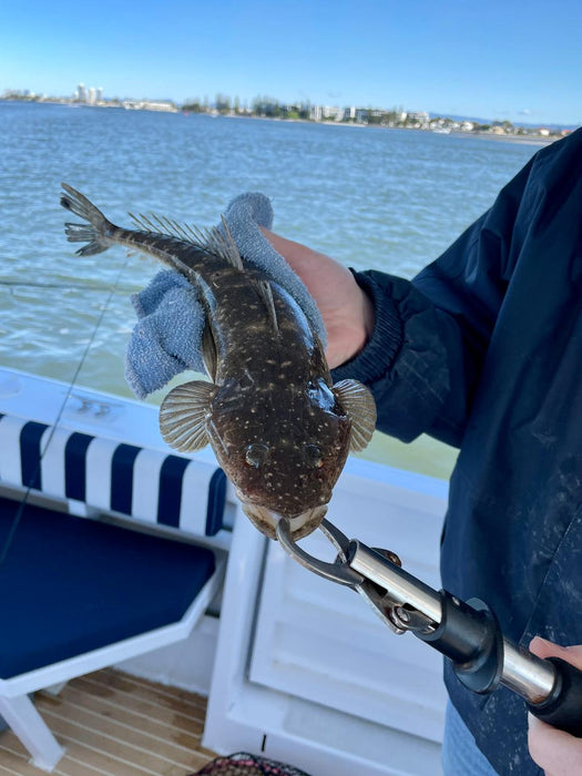 Shared Broadwater Fishing - Pickup From Runaway Bay