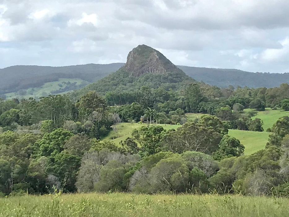 Noosa Hinterland Tour With Gourmet Lunch, Wine Tasting And Everglades Lake