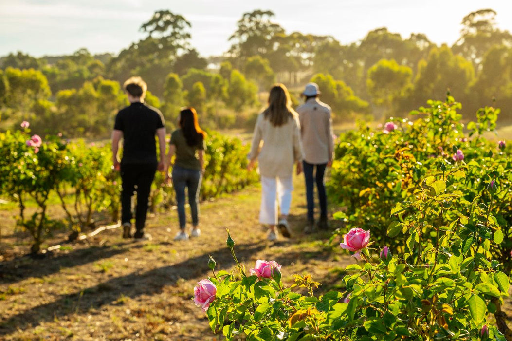 Jurlique Farm Tour