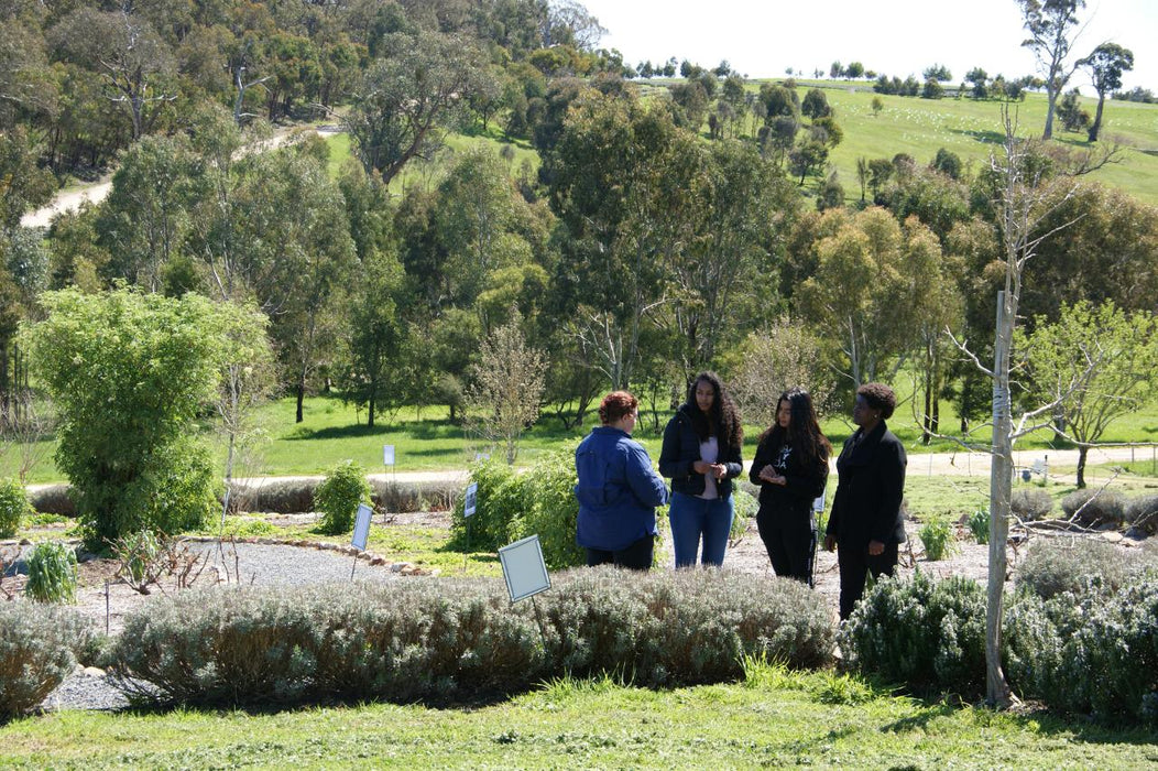 Jurlique Farm Tour + Hills Gourmet Picnic