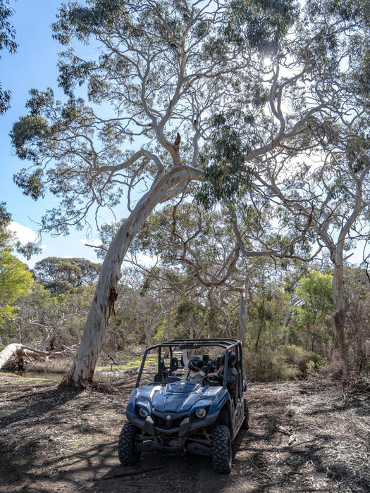 1-Hour Little Sahara Buggy Tour