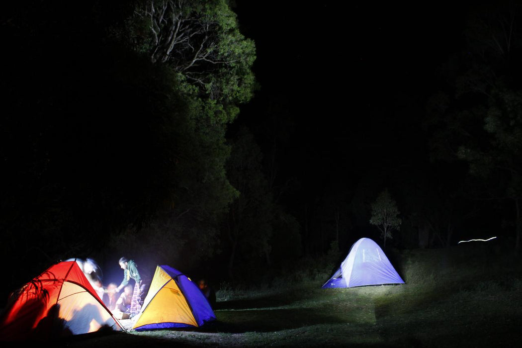 Blue Mountains Into The Wild Overnight Camping 4Wd Off Road Wilderness Adventure + River Cruise.