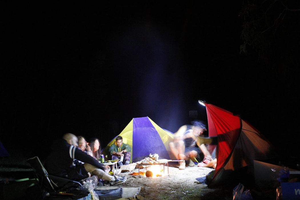 Blue Mountains Into The Wild Overnight Camping 4Wd Off Road Wilderness Adventure + River Cruise.