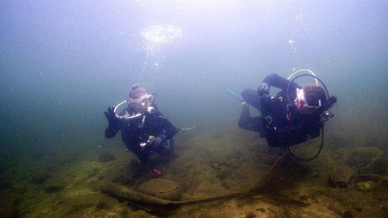 Rainforest Platypus Dive